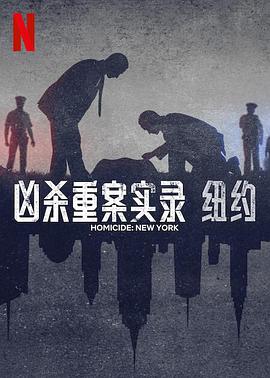 凶杀重案实录：纽约 1080p