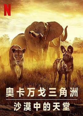 幸存的天堂 1080p