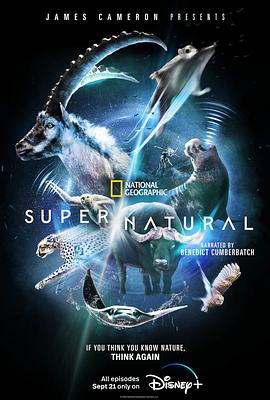 超凡动物奇观 1080p