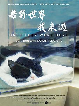 告诉世界我来过 1080p