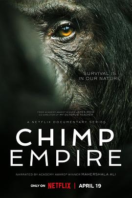黑猩猩帝国 1080p