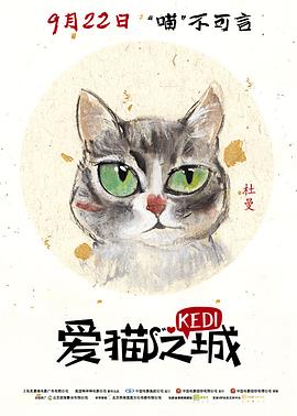 爱猫之城 1080p