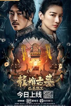 龙棺古墓：西夏狼王 1080p