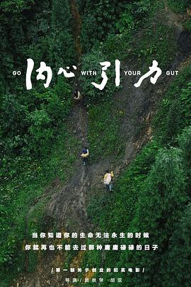 内心引力 1080p