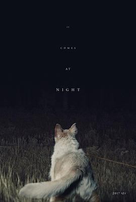 黑夜造访 1080p