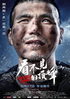 看不见的顶峰 1080p