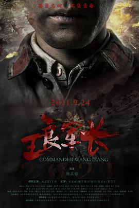 王良军长 1080p