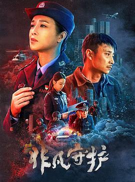 非凡守护 1080p