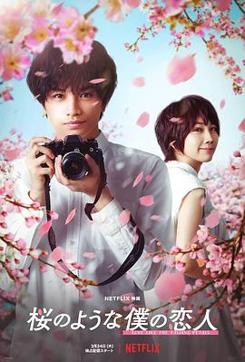 我的樱花恋人 1080p