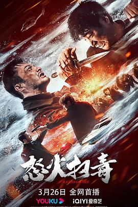 怒火扫毒 1080p