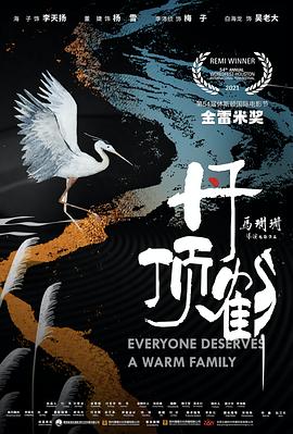 丹顶鹤 1080p