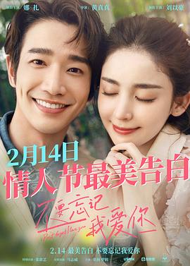 不要忘记我爱你 1080p