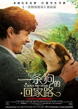一条狗的回家路 1080p
