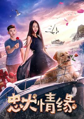 忠犬情缘 1080p