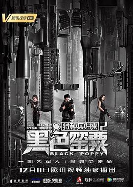 特种兵归来2：黑色罂粟 1080p