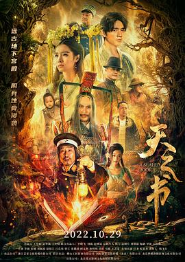 天之书高清海报