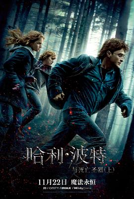 哈利·波特與死亡聖器(上)