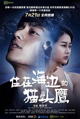 住在海边的猫头鹰 1080p