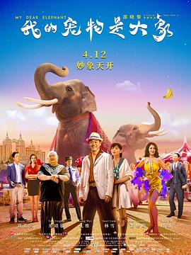 我的宠物是大象 1080p