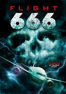 666号航班高清海报