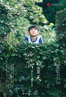 西小河的夏天 1080p