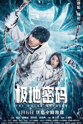 极地密码高清海报
