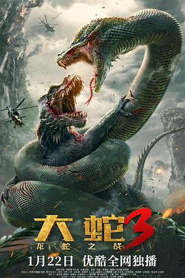 大蛇3：龙蛇之战 1080p