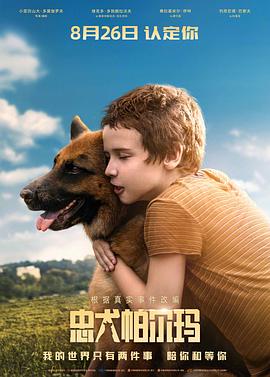 忠犬帕尔玛 1080p