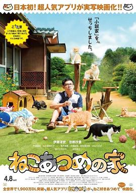 猫咪后院之家}