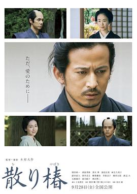 山茶花飘零 1080p