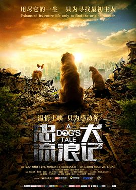忠犬流浪记 1080p