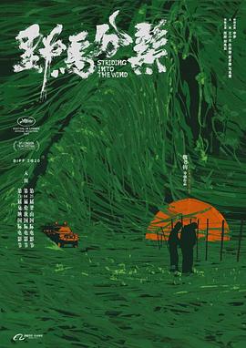 野马分鬃 1080p