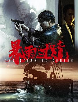 暴雨过境 1080p