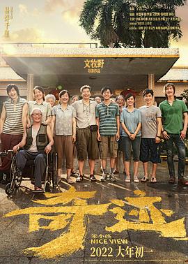 奇迹·笨小孩 1080p