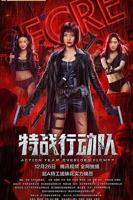 特战行动队 1080p