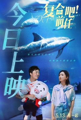 复合吧！前任 1080p