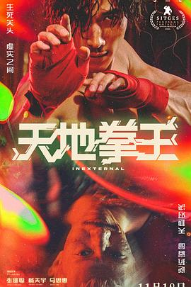 天地拳王 1080p