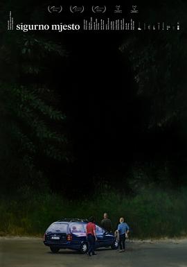 安全领域 1080p