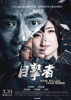 目击者之追凶 1080p